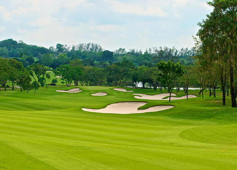 You are currently viewing Seeding Techniques For a Healthier Golf Course