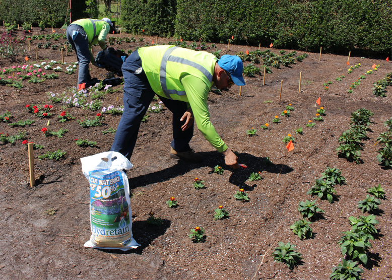 Read more about the article Improve Plant Survival: A How-To Guide to Spring Planting with Hydretain