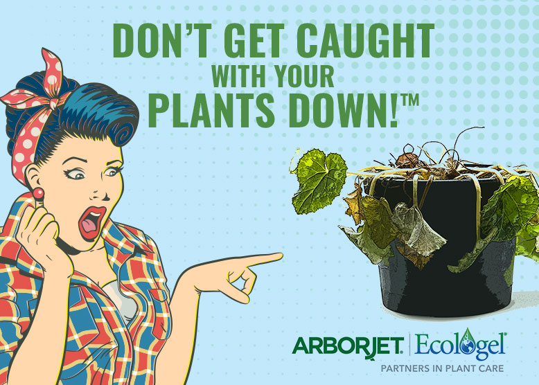 Read more about the article Don’t Get Caught with Your Plants Down