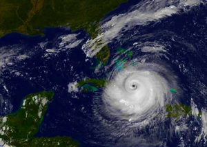 Read more about the article Hurricane Preparation – Protect Plants & Landscapes After the Storm