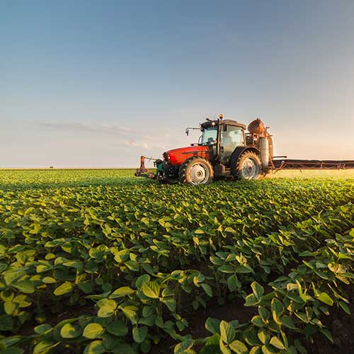 home Tractor on a large farm at dusk