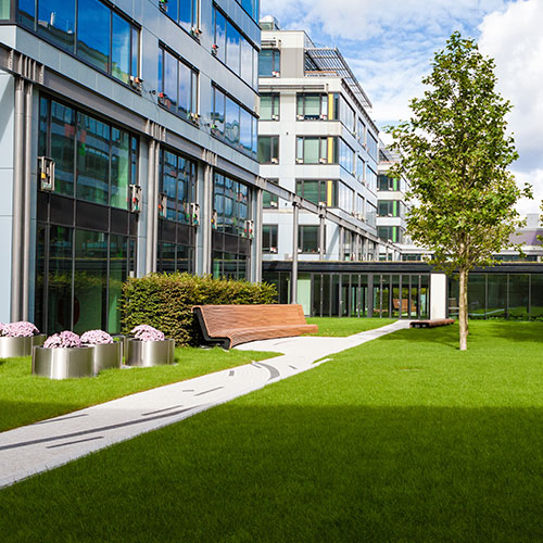 home City building with lush green lawn and tree showing property management