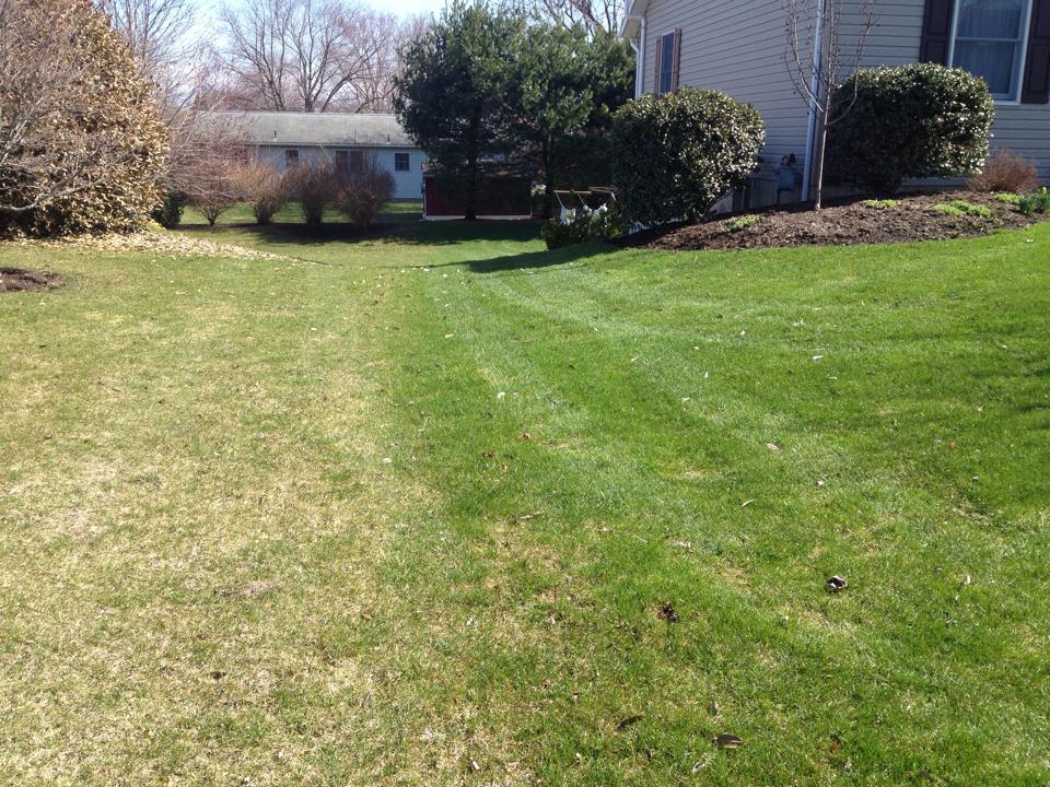 Results – Comparison of 2 lawns - one with and one without Hydretain
