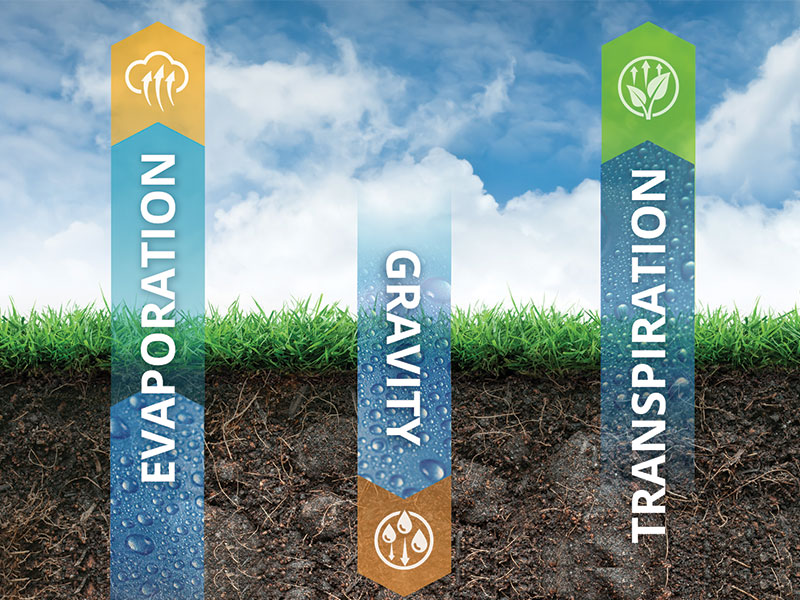 The science behind Hydretain - evaporation, gravity, transpiration process