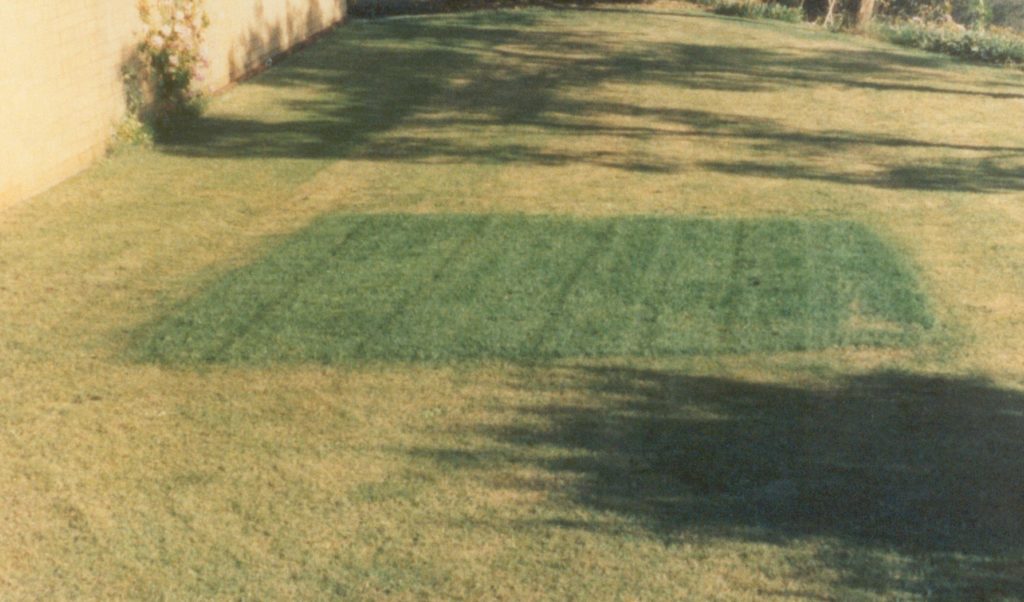The original test results – Ron's lawn