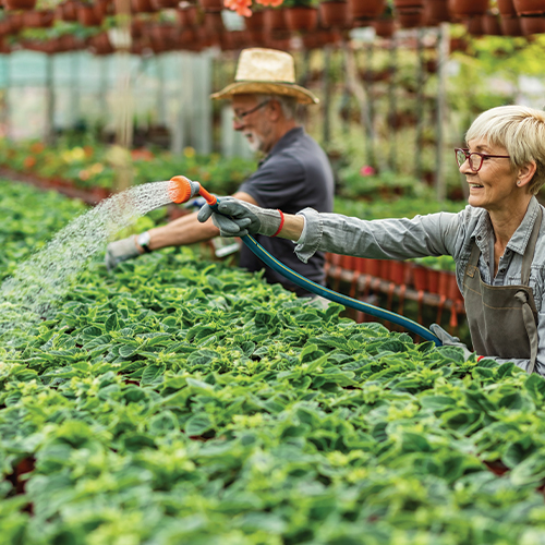 Watering Benefits