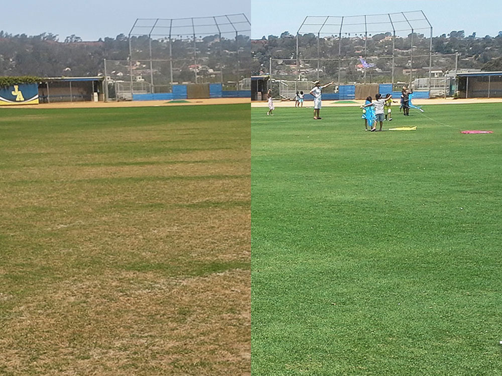 Before and after – school athletic field