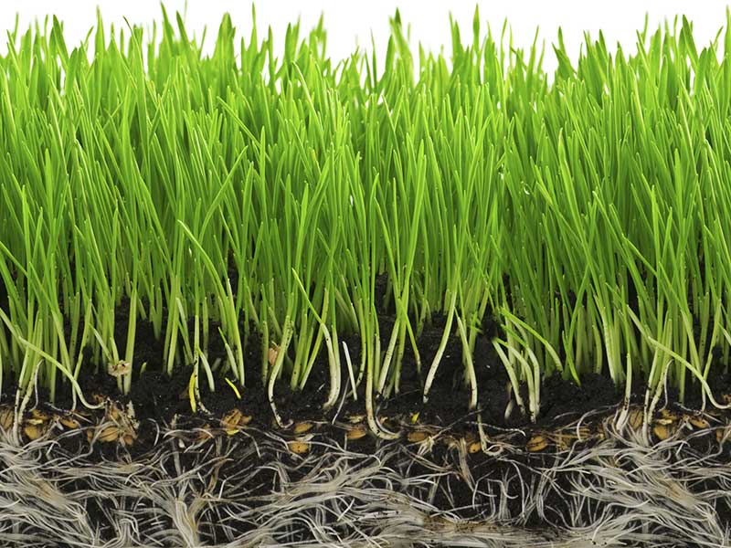 The science behind Hydretain produces well hydrated grass and soil
