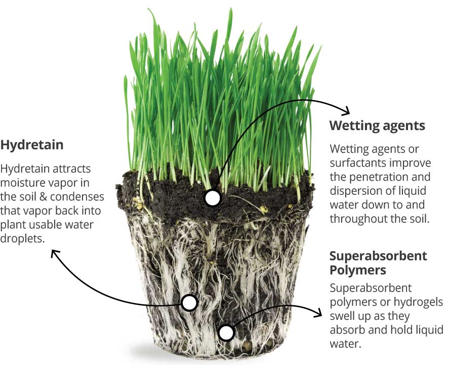 Hydretain science: using moisture vapor that would otherwise be lost to evaporation