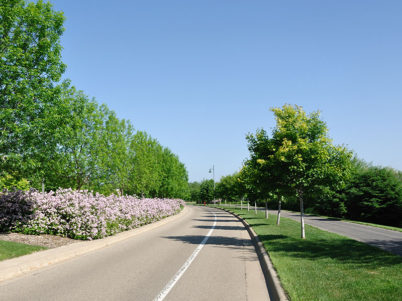 municipalities- well-maintained city street