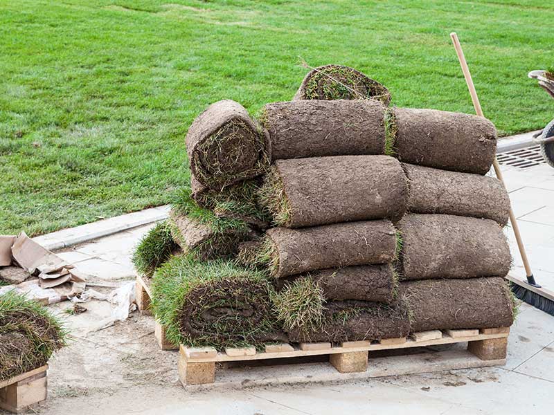 Sod on a palette ready for installation