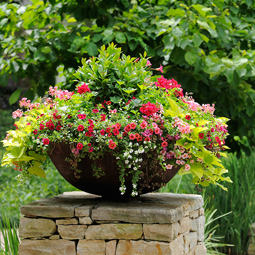 beautiful potted plant on a pillar - property managers