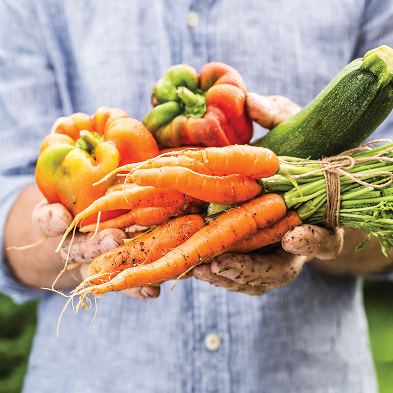 homeowners holding garden vegetables