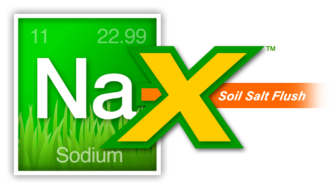 Na-X Logo