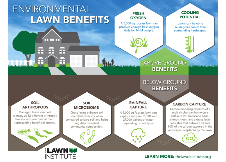 You are currently viewing Benefits of Lawns