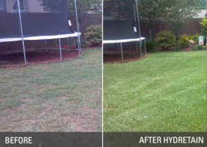 Read more about the article Benefits of Hydretain – Beyond Water Conservation