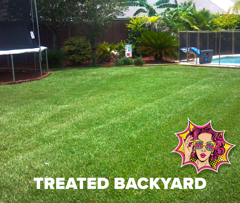 Hydretain-treated-backyard