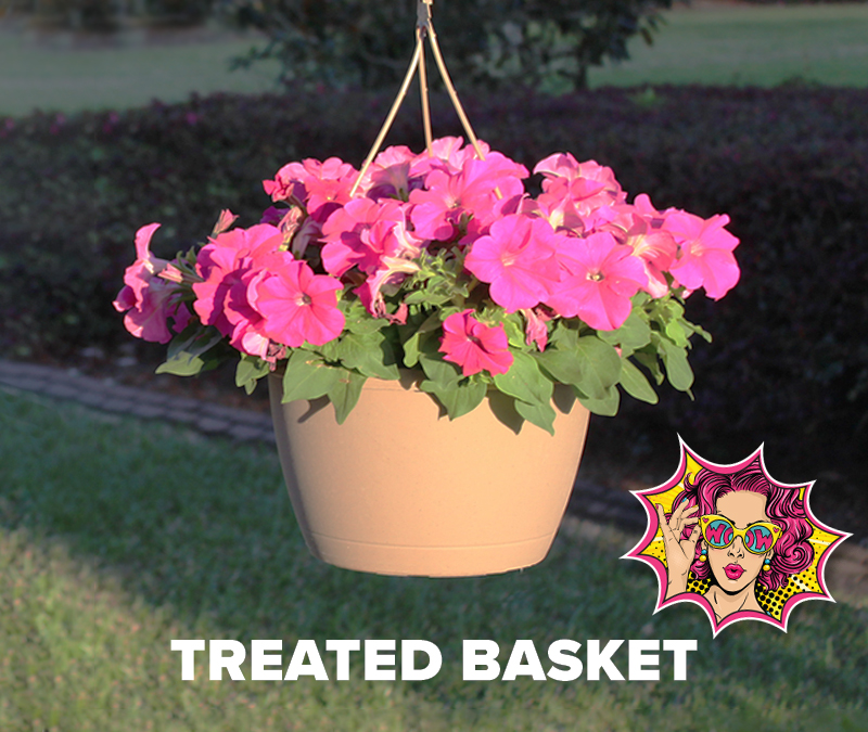 Hydretain-treated-hanging-basket