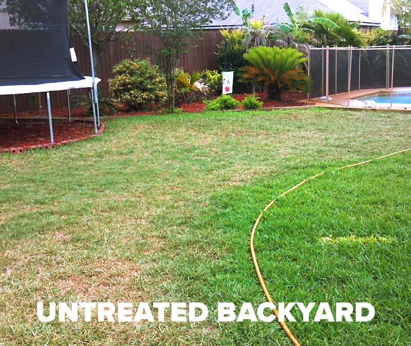 Hydretain-untreated-backyard
