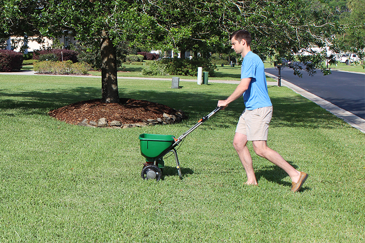Man pushing a spreader to apply Hydretain on a home lawn